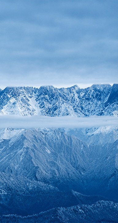 关于人生就是博